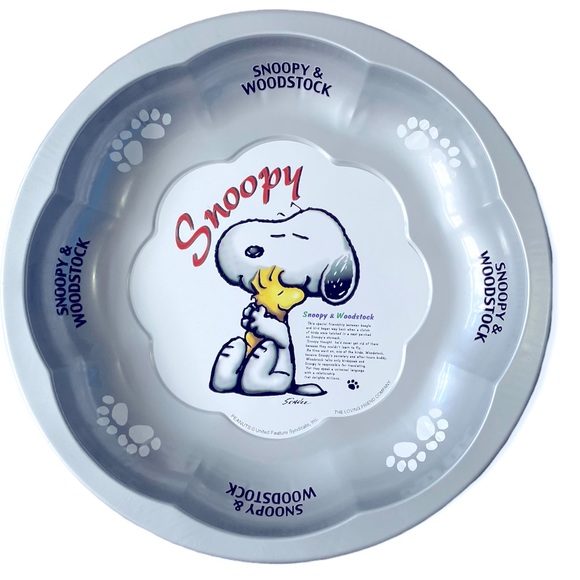Peanuts Other - $5 ADD ON Snoopy & Woodstock From Peanuts Collectible Shallow Metal Bowl